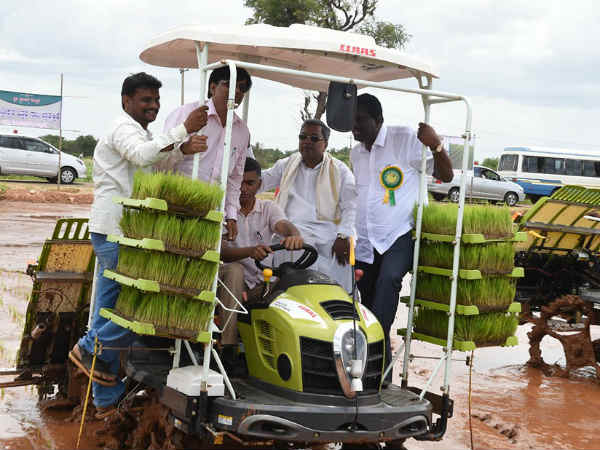 ಭತ್ತ ನಾಟಿ ಮಾಡುವ ವಿಧಾನ ವೀಕ್ಷಣೆ