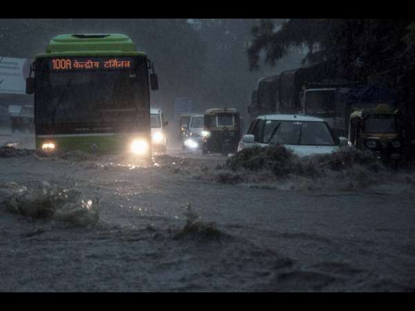  ಟ್ರಾಫಿಕ್ ಅರಣ್ಯ