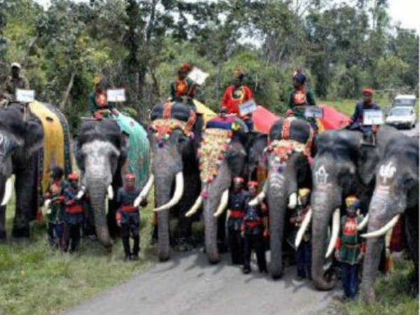 Dasara special: Elephant troop ring master Mahout
