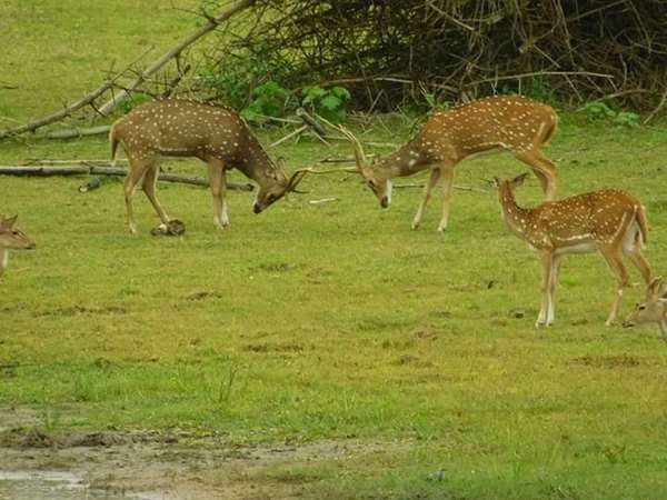 ಗುದ್ದಾಡೋಣ ಬಾ