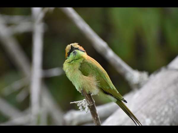 ಏನ್ ಚಂದ ನೋಡ್ತೀಯೋ