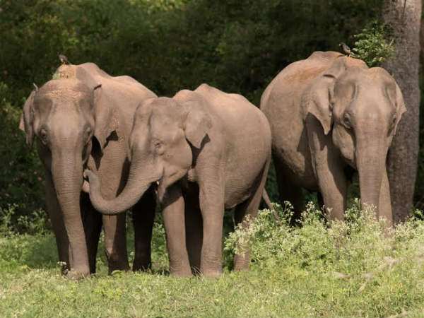 ಸೂಕ್ಷ್ಮ ಸ್ವಭಾವ