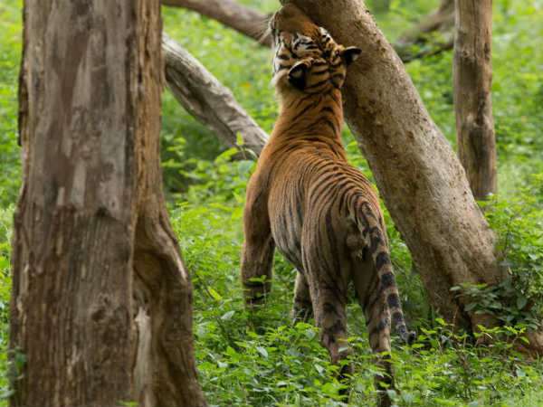 ಪುರುಷ ಆಧಿಪತ್ಯ