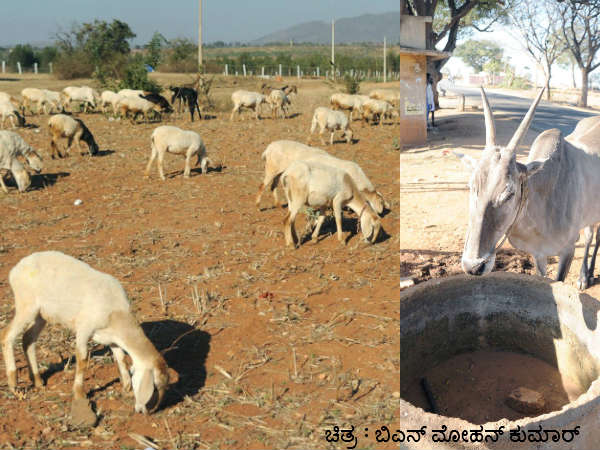 ಗದಗ, ಹಾವೇರಿ, ಧಾರವಾಡ ಜಿಲ್ಲೆ