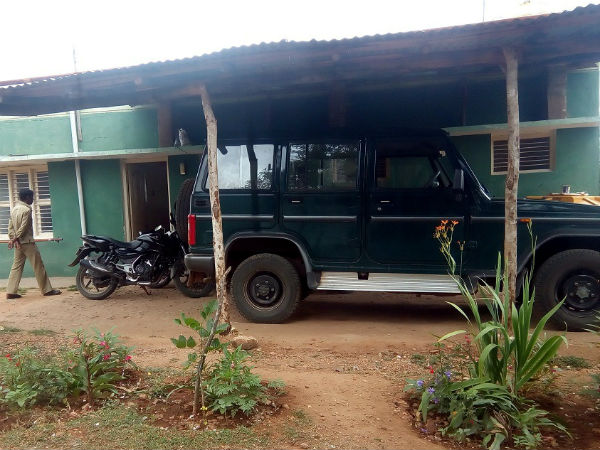 Forest tree used to construct a shed Forest tree used to construct a shed