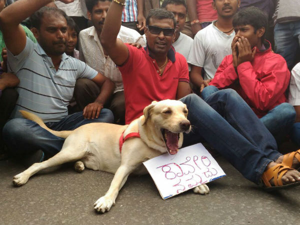 Live Updates: Karnataka Bandh September 09 Cauvery Dispute