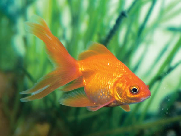 ಜನವರಿ ಫೆಬ್ರವರಿ : ವ್ಯವಹಾರದಲ್ಲಿ ನೋವರಿ