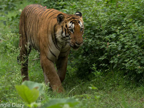 ಆಶ್ಚರ್ಯ, ಸಂತೋಷ ಜೊತೆಜೊತೆಗೆ