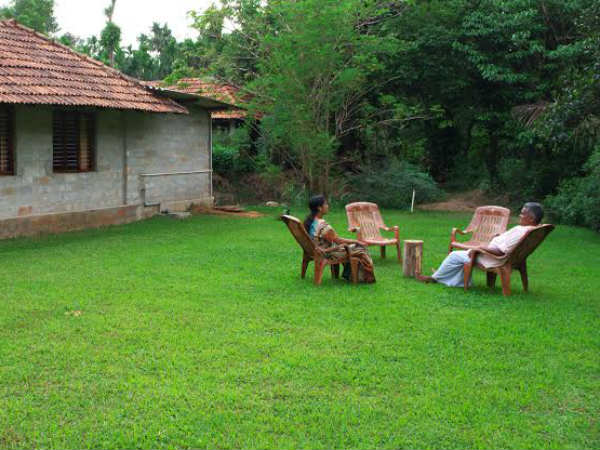 ವೈದ್ಯಕೀಯ ಸಸ್ಯ ರಕ್ಷಣೆ