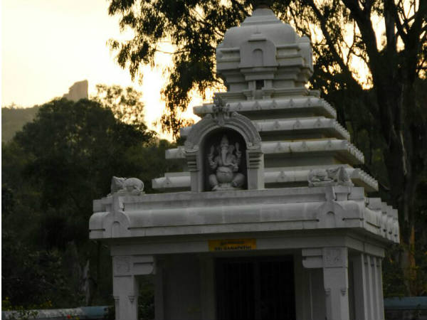 800 ವರ್ಷ ಹಳೆಯದು