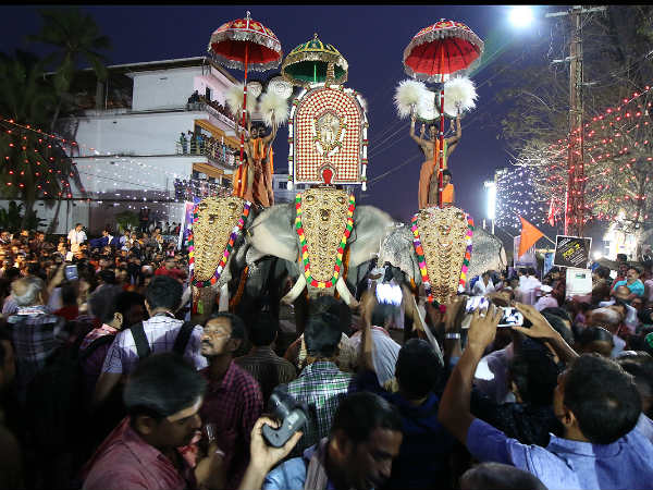 ಸಾಂಸ್ಕೃತಿಕ ವೈವಿಧ್ಯ