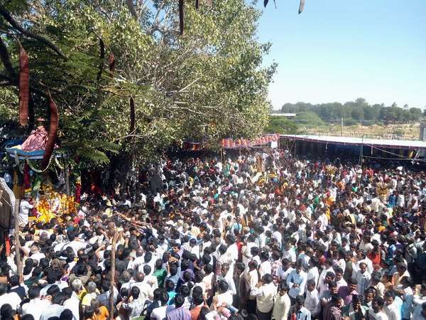 ಮಾಹಿತಿಗೆ ಸಂಪರ್ಕಿಸಿ