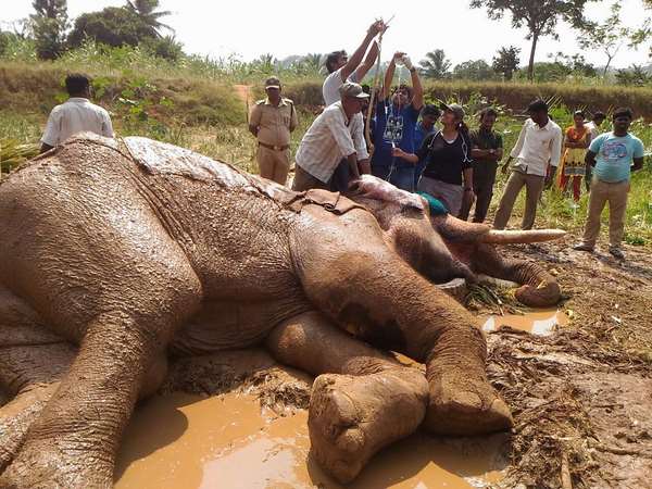ಕಾಲು ಮುರಿಯಿತು
