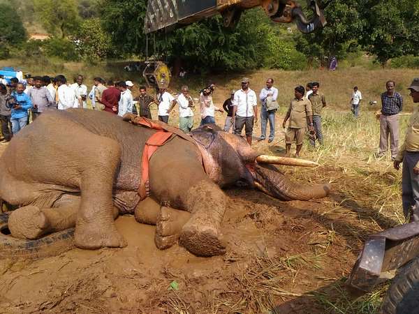 ಅಪಾಯದ ಮುನ್ಸೂಚನೆ
