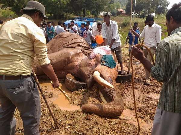 ಆಹಾರ ತಗೊಳ್ತಿಲ್ಲ