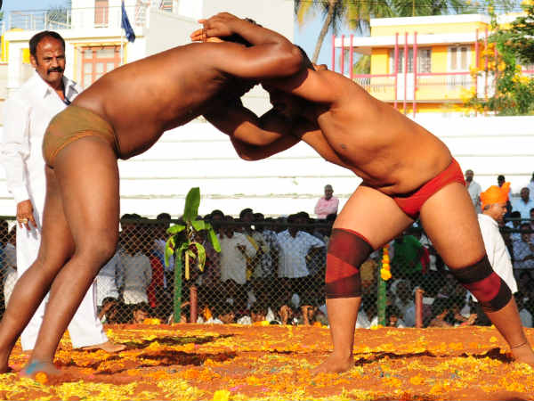 Dasara wrestling