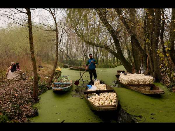 ಶ್ರೀನಗರದ ಚಳಿ