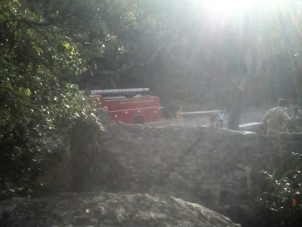 Verdant Himavad Gopala Swamy hill devastated by fire