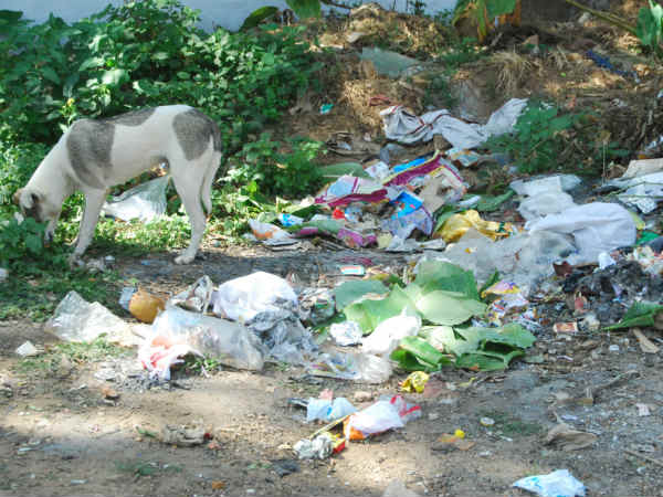 Madikeri garbage problem Madikeri garbage problem