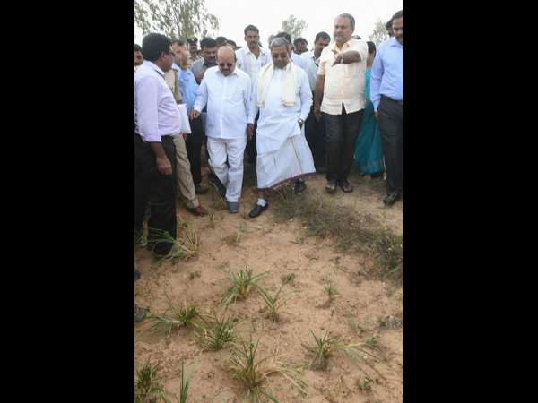 CM Siddaramaiah Tumakuru visit for drought effect 