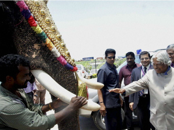 ಆನೆಗಳಲ್ಲಿ ಮೂರು ವಿಧ