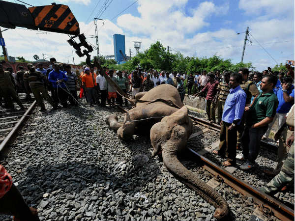 ಮಾನವ ಹಸ್ತಕ್ಷೇಪ 