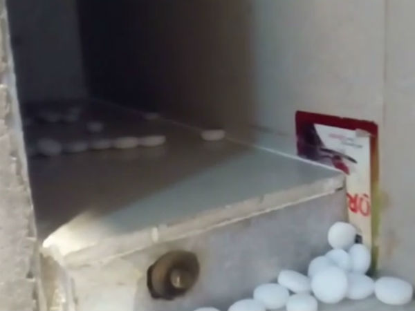 ಸಾಕಷ್ಟು ಶೇಕರಿಸಿಡಬಹುದಾದ ರಹಸ್ಯ ಕೋಣೆ