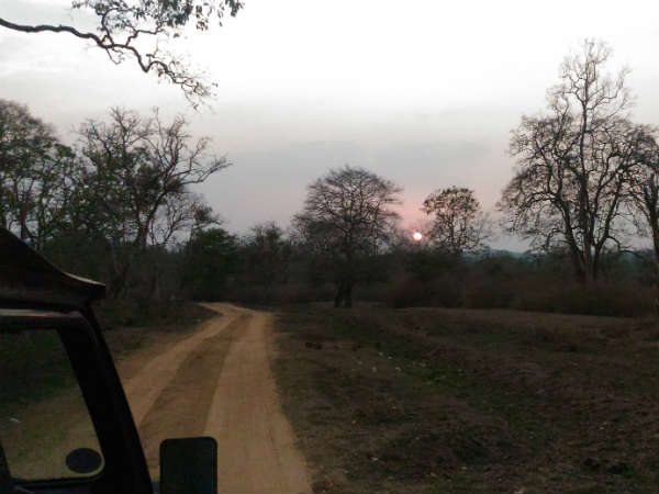 ವನ್ಯಜೀವಿಗಳ ಚಲನವಲನ, ಹಾವಭಾವ ತಿಳಿದಿದ್ದರೆ ಉತ್ತಮ