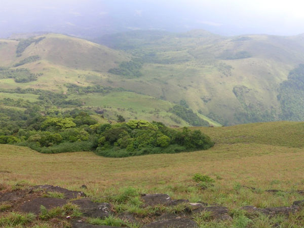 Tadiyandamol trekking permission is mandatory