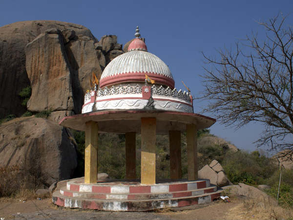 ರಣಹದ್ದುಗಳಿಂದ ಕಾಡು ಶುದ್ಧ 