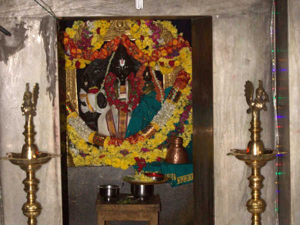 ಎರಡು ಪ್ರಭೇದ