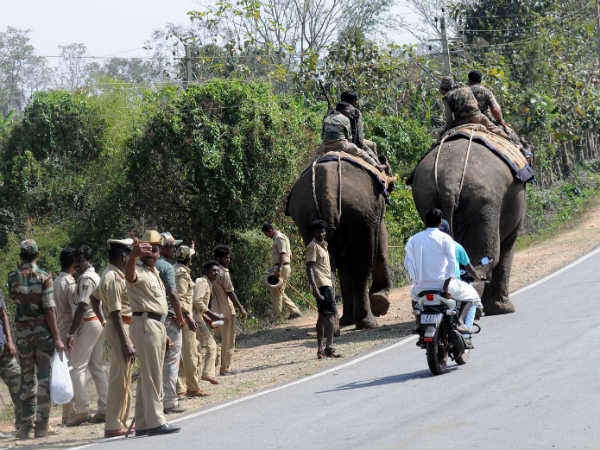 Man eater Tiger still at large in Nagarahole
