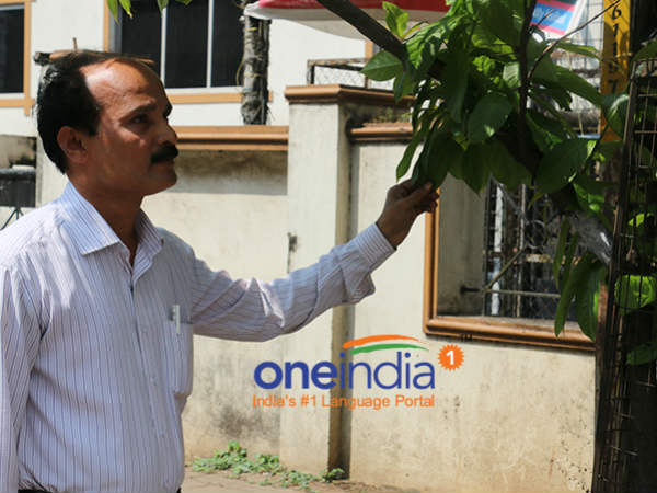 A pigmy collector has planted 19000 saplings in mangaluru
