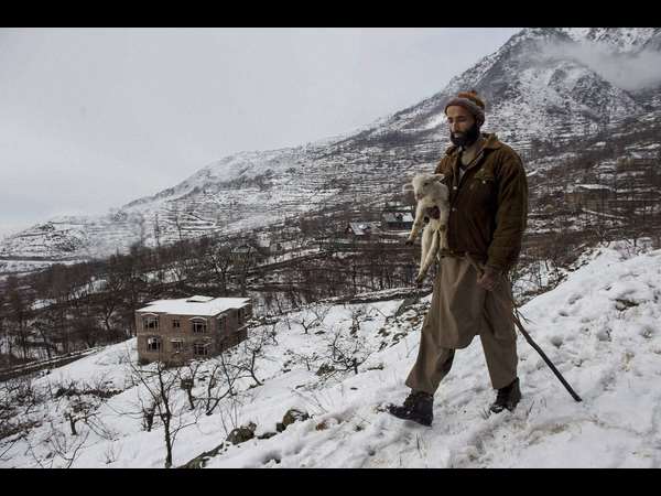 ಶ್ರೀನಗರದ ಚಳಿಗಾಲದಲ್ಲೊಂದು ಕುರಿಗಾಲ