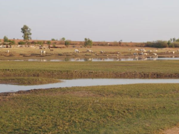 ಕೆರೆಗಳ ಪುನರುಜ್ಜೀವನ ಕಾರ್ಯ ಕೆರೆಗಳ ಪುನರುಜ್ಜೀವನ ಕಾರ್ಯ