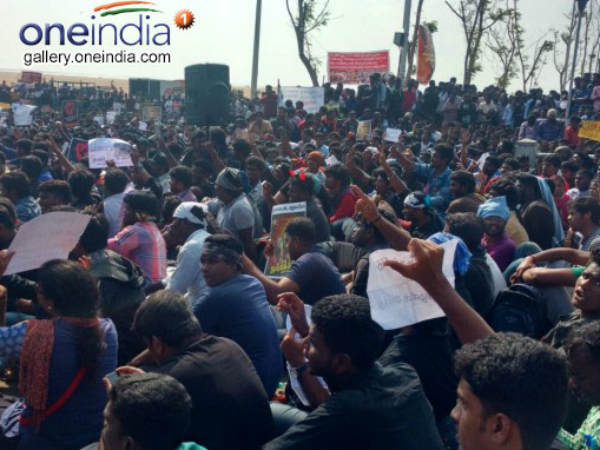 ಜಲ್ಲಿಕಟ್ಟು ಪರ ಸೋಷಿಯಲ್ ಮೀಡಿಯಾದಲ್ಲಿ ಪ್ರಚಾರ 