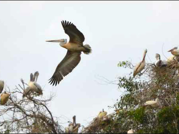 ಬೆಳಗ್ಗೆ 9ರಿಂದ ಸಂಜೆ 6 ರವರೆಗೆ 
