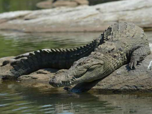 ಛಾಯಾಗ್ರಾಹಕರಿಗೆ ಮಾಹಿತಿ
