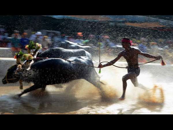 ರೈತರ ಮನರಂಜನೆಗೊಂದು ಅವಕಾಶ