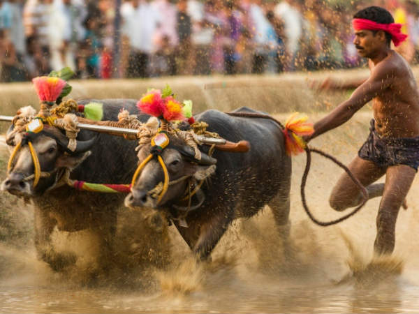 'ಮಾಡು ಇಲ್ಲವೇ ಮಡಿ' ಹೋರಾಟ 