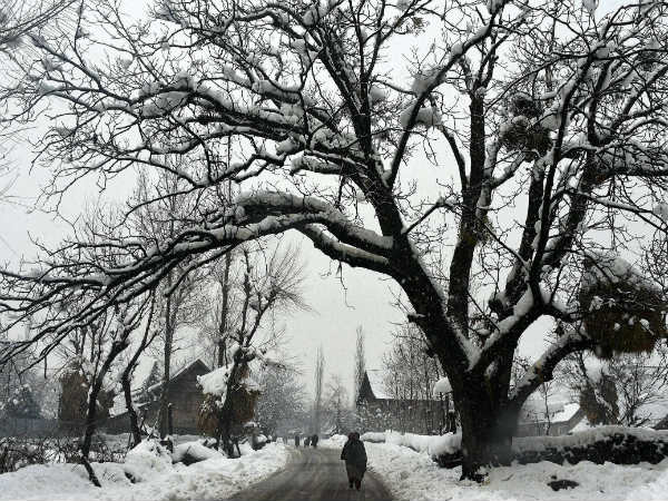 ದೈನಂದಿನ ವ್ಯವಹಾರ ಸ್ತಬ್ಧ