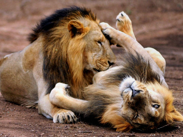 ಪ್ರಯಾಣದ ಮಾಹಿತಿ