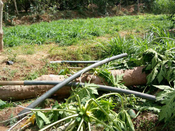  What is Kambala, why it is significant for Karnataka