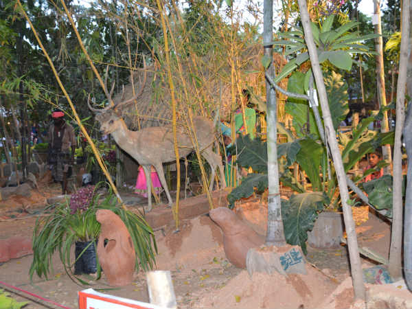 People of Chamarajnagar came to Flower exhibition to work in a commercial stall 