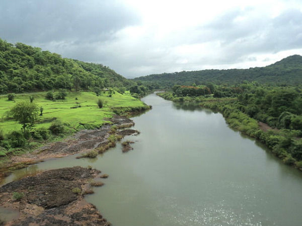 2017 is K’taka’s ‘Year of the Wild’, but is opening up the Western Ghats 