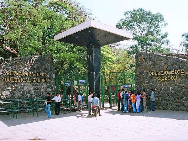 Close to the mysuru zoo for the first time in 125 years