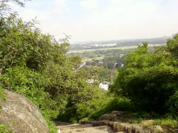 Chamundi Hills is plagued by thugs: police registered case against Valentine 