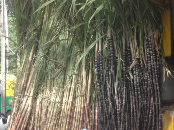 Dull business in markets of bengaluru for this sankranti