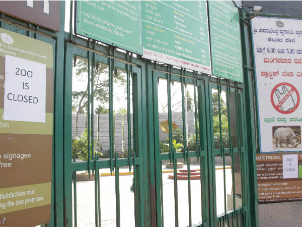 Minister Ramanath rai inspects Mysuru zoo situation