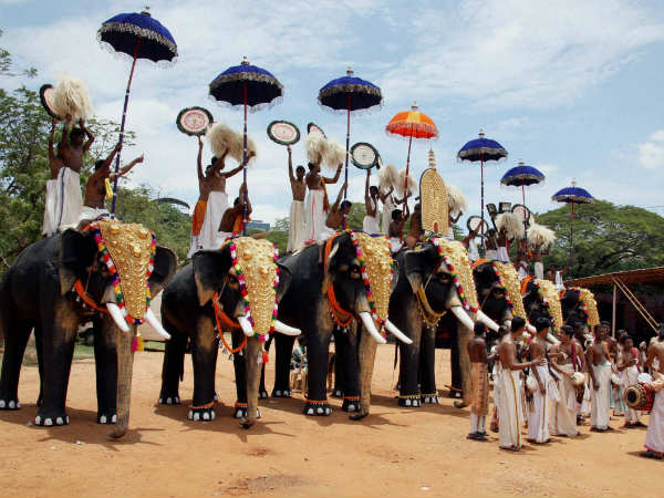 ಪ್ರತಿ ವರ್ಷ 26 ಆನೆಗಳು ಸಾವು